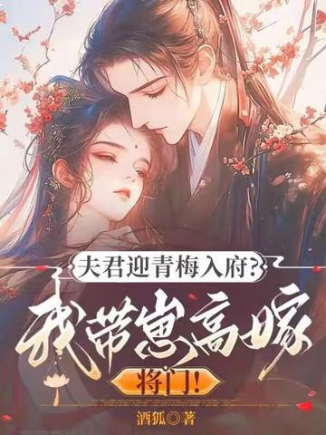 我夫君带回一个姑娘