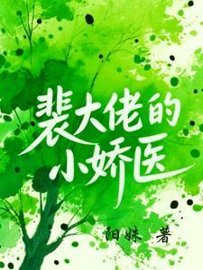 裴大佬的小娇医裴政平肖南星20章