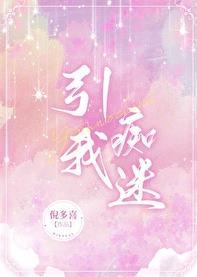 引我痴迷txt百度