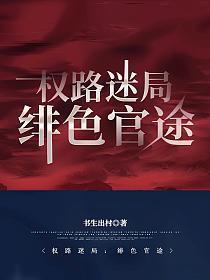 官场权路迷局之绯色官途讲什么故事