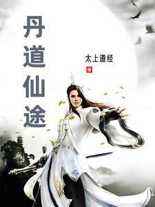 丹道仙途 百科