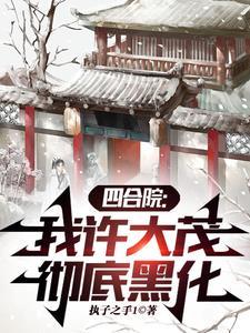 四合院我黑化许大茂爆