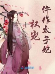 权谋太子妃