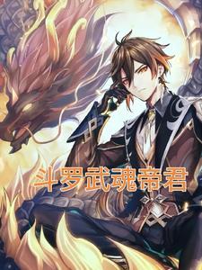 武魂帝人物等级划分