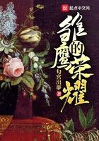 雏鹰的荣耀结局