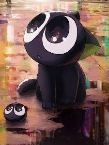 日常里面的猫