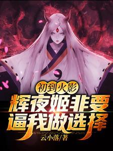 辉夜姬 火影