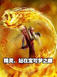 精灵宝可梦战斗场景