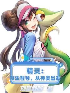 神奇宝贝;新生小智