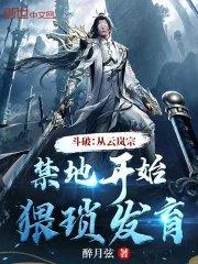 穿越斗破之云岚宗