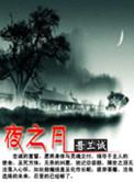 夜之月色