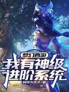 梦幻西游 进阶