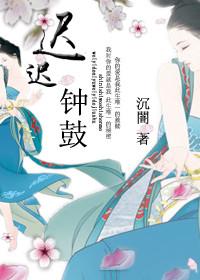 迟迟钟鼓初长夜打一报刊