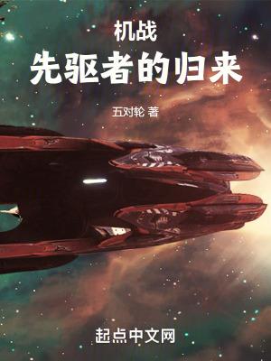 机战先驱者的归来x33