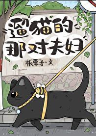 遛猫行为