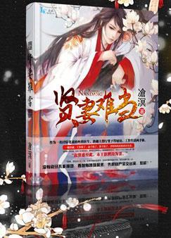 贤妻难当女主角叫什么