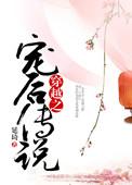 穿越之宠后传说txt