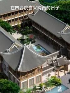 在四合院当采购员的日子1