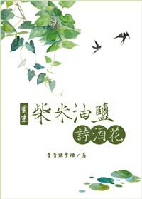 柴米油盐诗酒花讲了什么内容