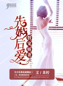 替嫁宠婚娇妻甜又娇